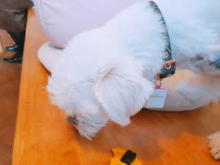 뽀오오옹님이 올린 리뷰 사진 2