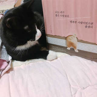 나르미르님이 올린 리뷰 사진 1