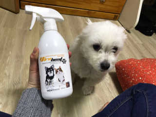 갱미님이 올린 리뷰 사진 2