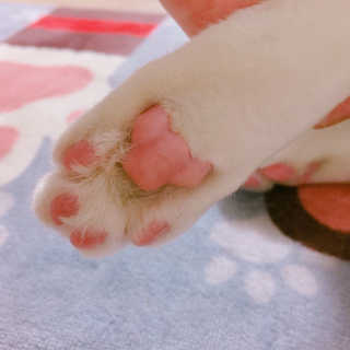 떠영님이 올린 리뷰 사진 1