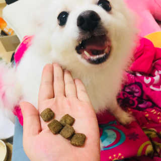 석가모뉘님이 올린 리뷰 사진 4
