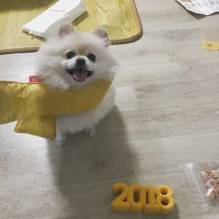 singview님이 올린 리뷰 사진 1