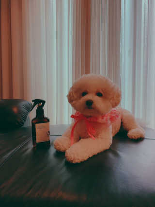 소유띠님이 올린 리뷰 사진 3
