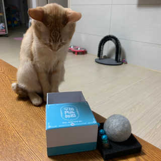 수경이야님이 올린 리뷰 사진 3