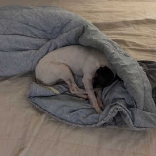 서언미님이 올린 리뷰 사진 4
