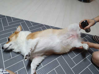 혜무룩님이 올린 리뷰 사진 3
