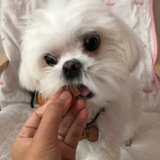 율리킴님이 올린 리뷰 사진 4