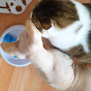 마뇨님이 올린 리뷰 사진 1