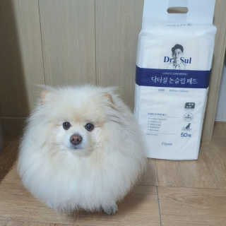 치리짱님이 올린 리뷰 사진 1