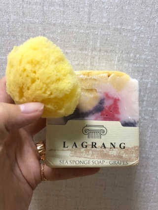 hodu_mom님이 올린 리뷰 사진 1