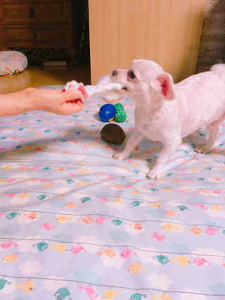 쮸동비님이 올린 리뷰 사진 4