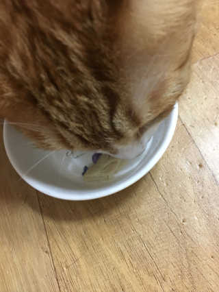 arian님이 올린 리뷰 사진 2