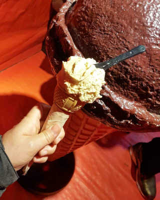 블루빛고양이님이 올린 리뷰 사진 1