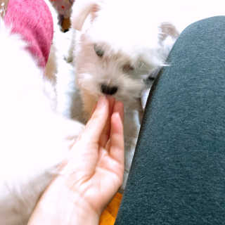 그래그래님이 올린 리뷰 사진 3