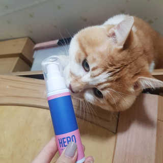 단비k님이 올린 리뷰 사진 3