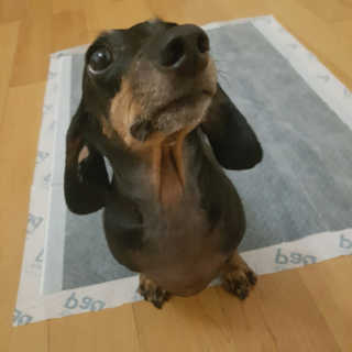 나도써볼래님이 올린 리뷰 사진 3