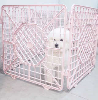 삼숑이맘님이 올린 리뷰 사진 1