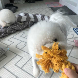 콩이님이 올린 리뷰 사진 3