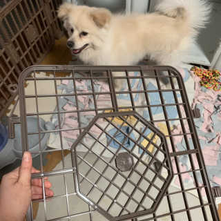 정혜원님이 올린 리뷰 사진 1
