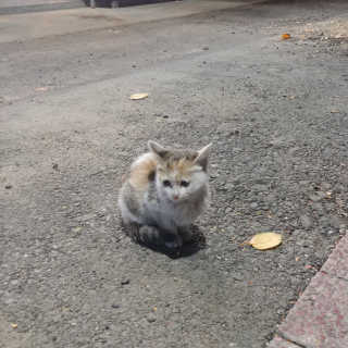 뚜뚜님이 올린 리뷰 사진 2