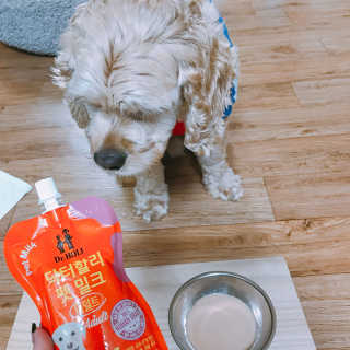 연정님이 올린 리뷰 사진 2