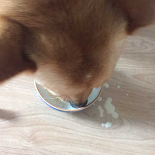 ㅋㅋㅋ님이 올린 리뷰 사진 2