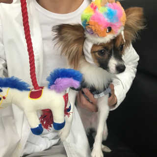웅비님이 올린 리뷰 사진 1