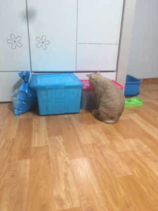 JiyeonYu님이 올린 리뷰 사진 3