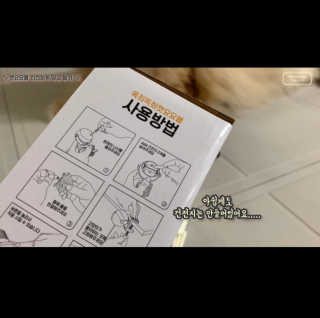 시묘님이 올린 리뷰 사진 3