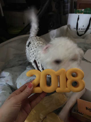 지은님이 올린 리뷰 사진 4
