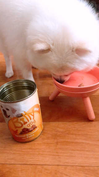 라비앙님이 올린 리뷰 사진 4