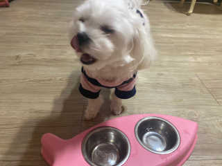 junny님이 올린 리뷰 사진 2