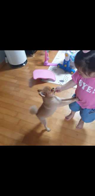 윤남매♡님이 올린 리뷰 사진 3