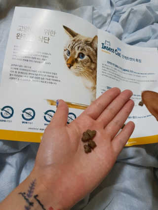 이용재님이 올린 리뷰 사진 3