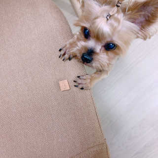 유아나님이 올린 리뷰 사진 3