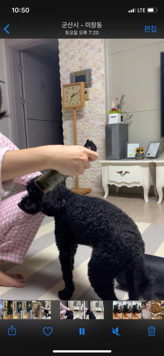 울몽돌님이 올린 리뷰 사진 1
