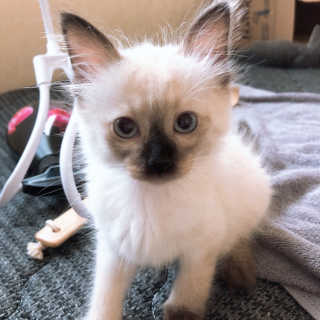 보현님이 올린 리뷰 사진 2