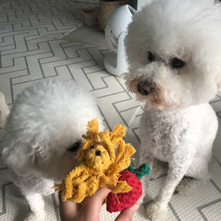 윤토마토님이 올린 리뷰 사진 3