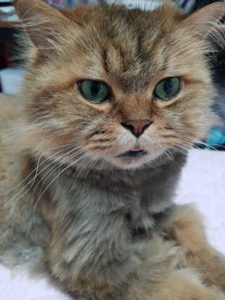 옹알이님이 올린 리뷰 사진 3