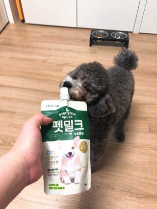 [빙그레] 에버그로 생유산균 1봉（10포입）+펫밀크2팩 — 5점을 준 리뷰어가 2019년 5월 올린 사용 사진