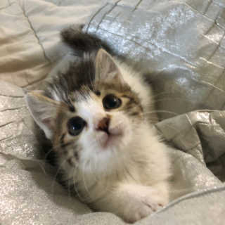 젼젼님이 올린 리뷰 사진 4