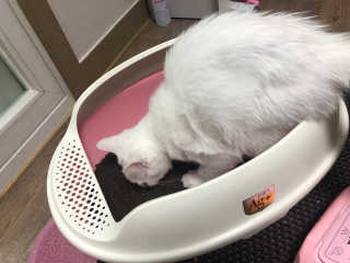 은님이 올린 리뷰 사진 3