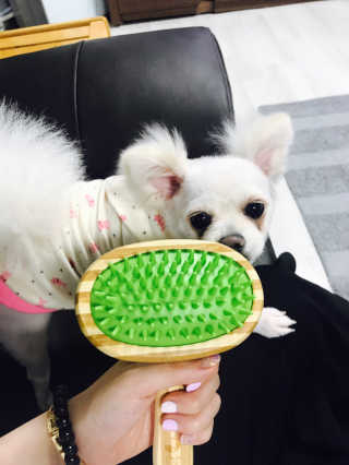 고은화님이 올린 리뷰 사진 3