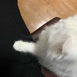 례진님이 올린 리뷰 사진 3