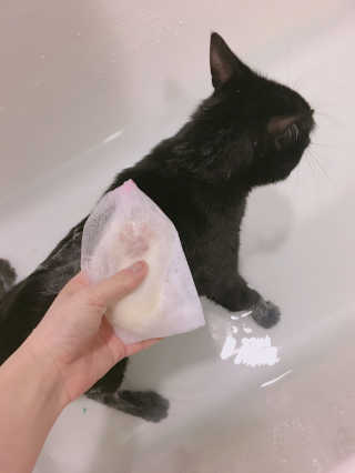 엄세희님이 올린 리뷰 사진 2