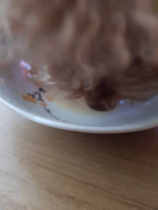 금수니맘님이 올린 리뷰 사진 2