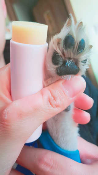 유수인님이 올린 리뷰 사진 2