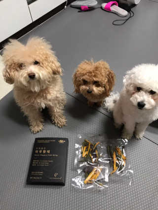 펫테라피 플레이트 야채품은 하루황태 — 5점을 준 리뷰어가 2019년 12월 올린 사용 사진