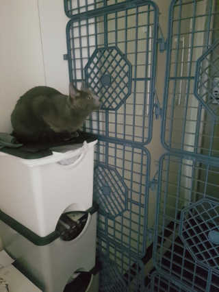 쿠로님이 올린 리뷰 사진 2