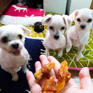 이민희님이 올린 리뷰 사진 3